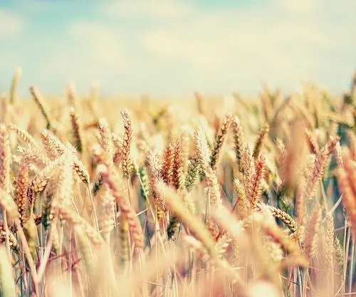 手机号码测吉凶到底准不准?