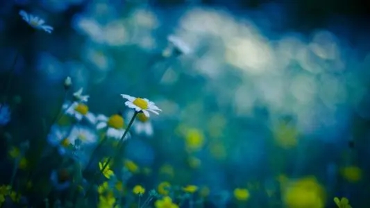 北京健康宝之前有2个手机号码 其中一个不再使用 如何进行换绑?